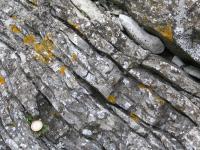 Albums/20060200-New Zealand 2006/20060318-Kaikiura/11